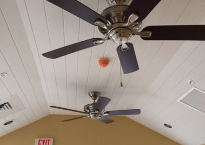 ceiling-fans